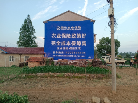 兴化墙体广告为何受追捧?